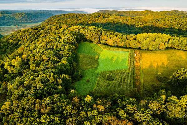 75.6 Acres of Recreational Land for Sale in Muscoda, Wisconsin