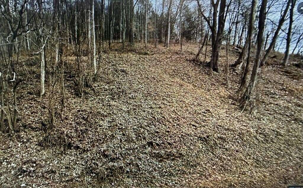 4 Acres of Residential Land for Sale in Raven, Virginia