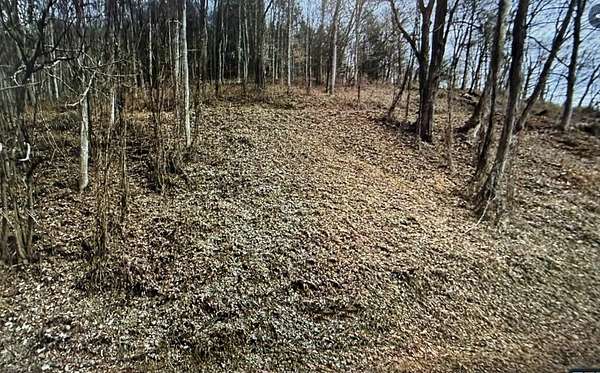 4 Acres of Residential Land for Sale in Raven, Virginia