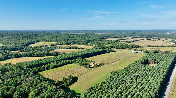 25.4 Acres of Land for Sale in Fairchild, Wisconsin