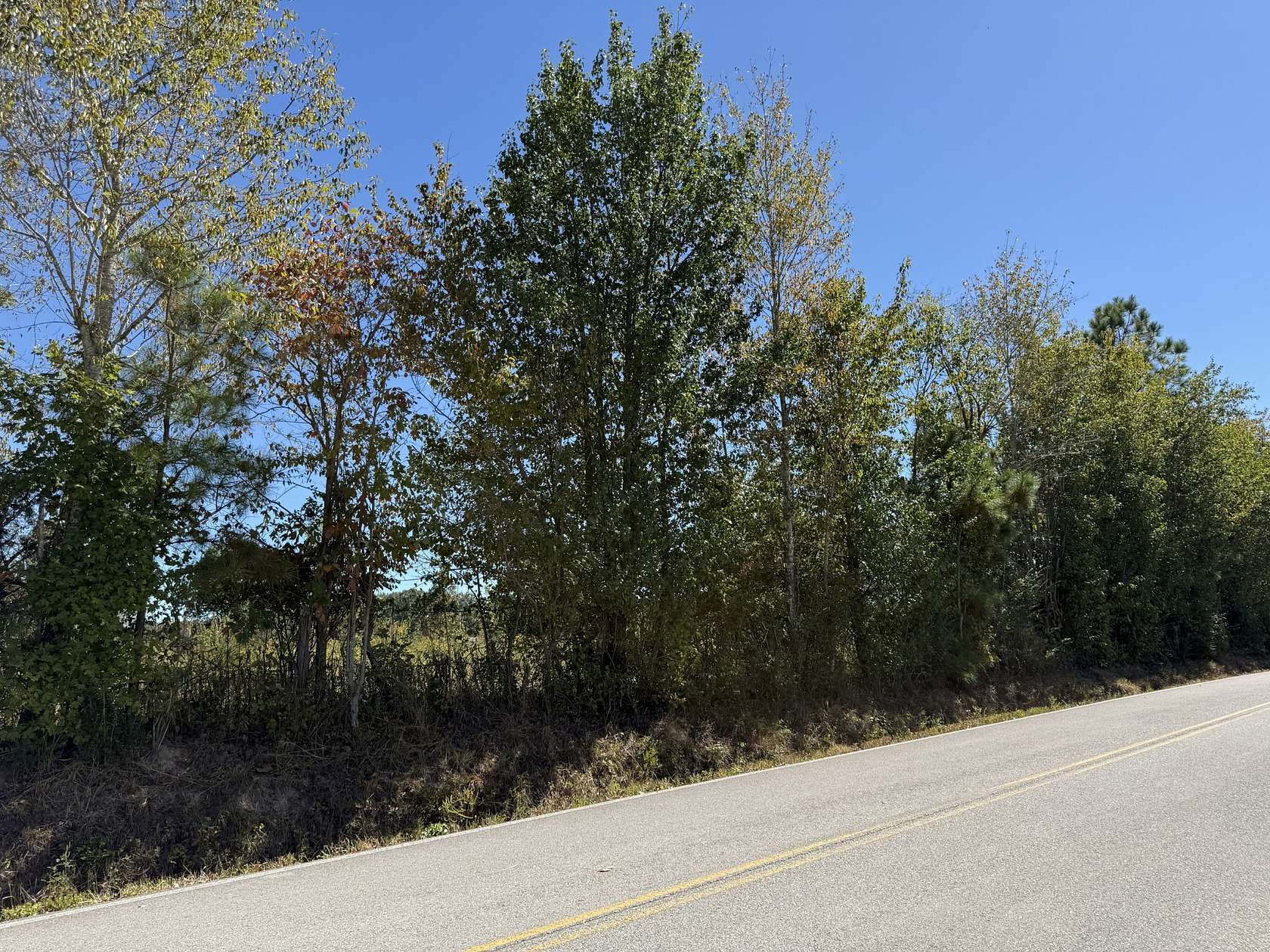 3.56 Acres of Residential Land for Sale in Leoma, Tennessee