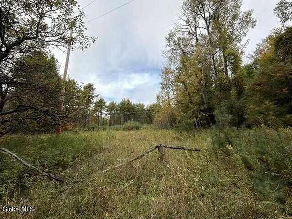 65 Acres of Recreational Land for Sale in Moriah, New York