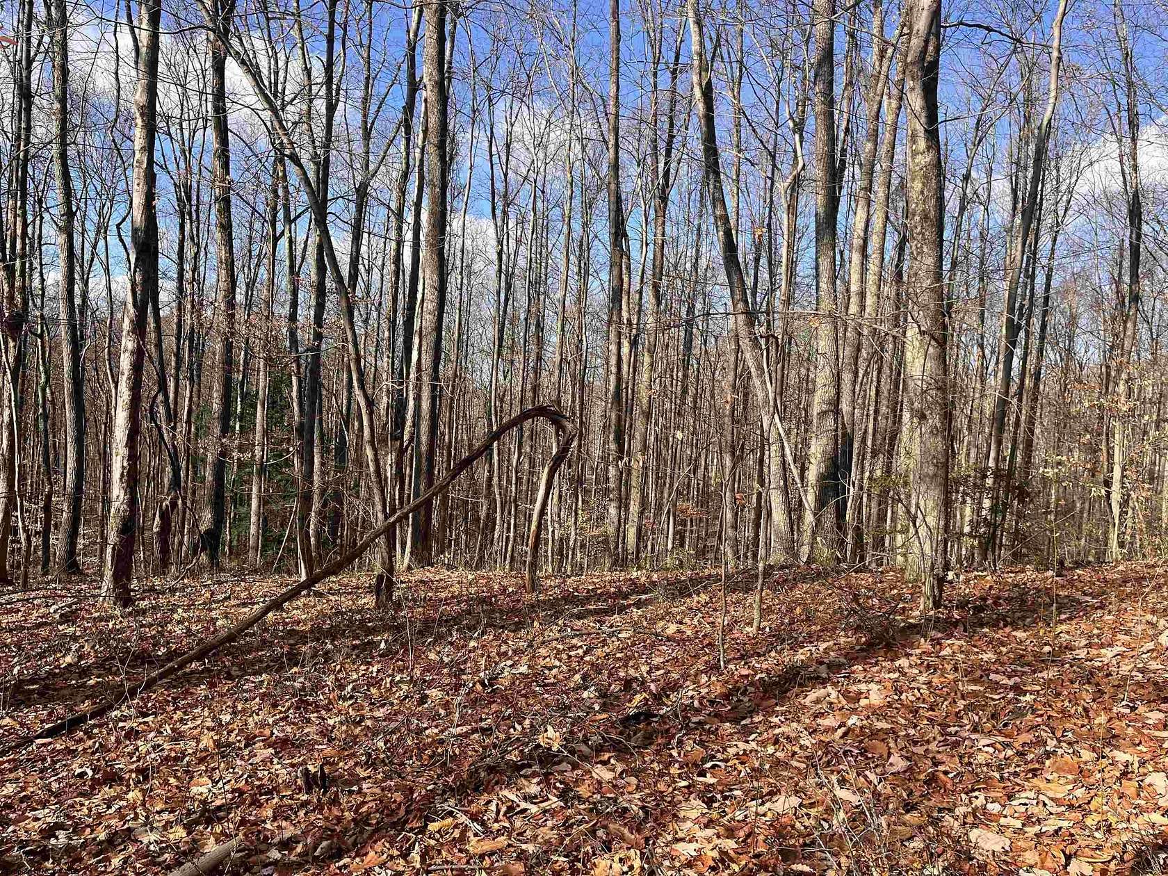 0.4 Acres of Land for Sale in Belington, West Virginia