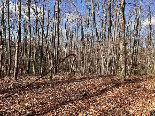 0.4 Acres of Land for Sale in Belington, West Virginia