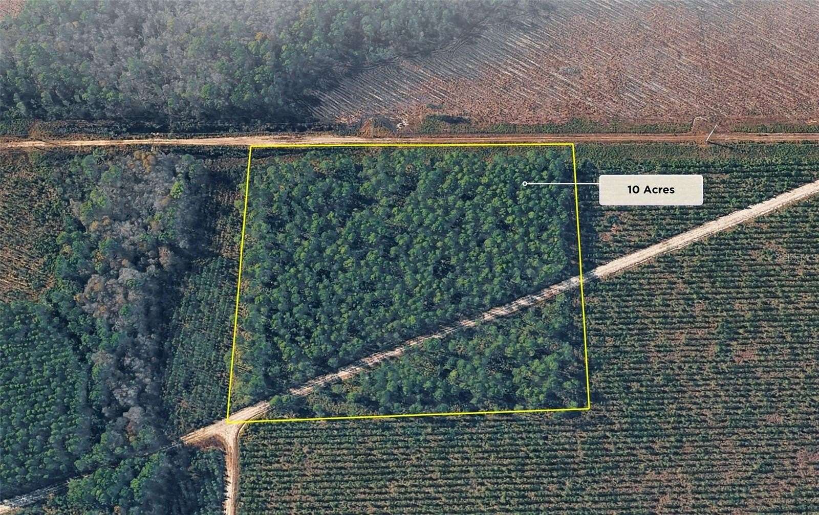 10 Acres of Land for Sale in Green Cove Springs, Florida