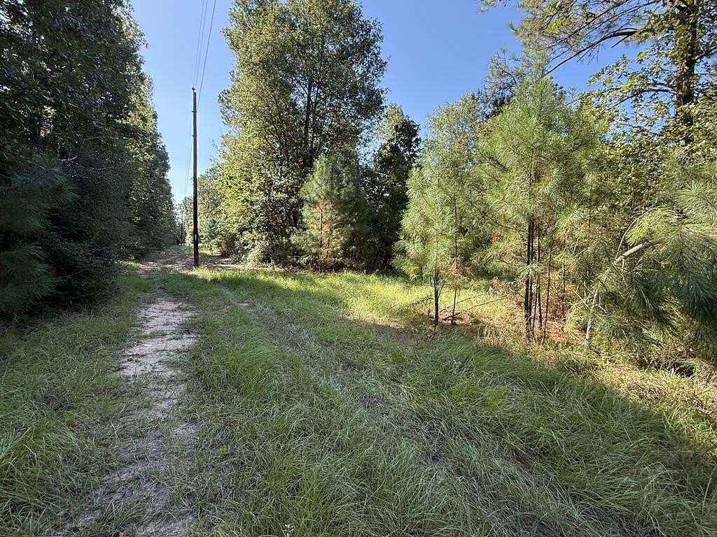 14.3 Acres of Recreational Land for Sale in Lovelady, Texas