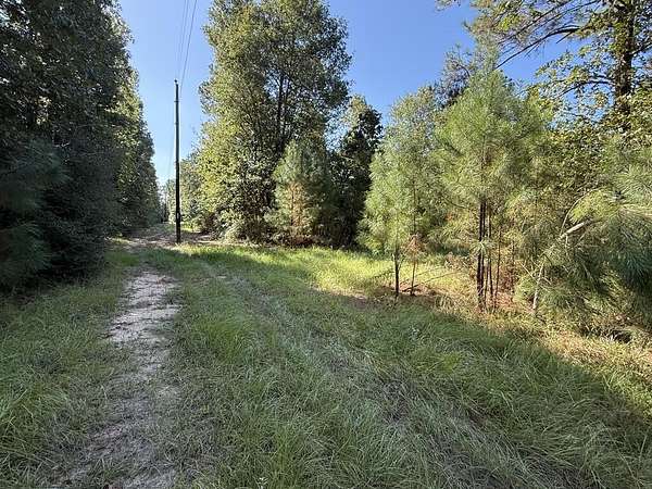 14.3 Acres of Recreational Land for Sale in Lovelady, Texas