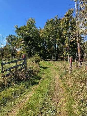 110 Acres of Land for Sale in Sheridan, Michigan