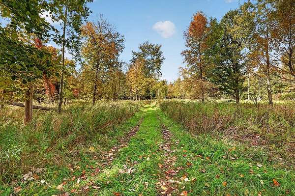 110 Acres of Land for Sale in Stanton, Michigan