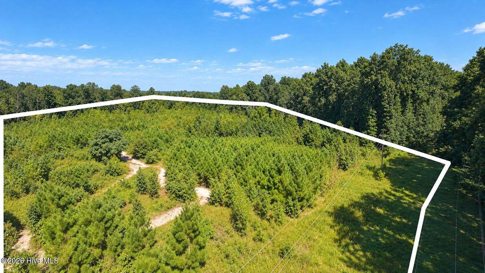 31 Acres of Recreational Land for Sale in Spring Hope, North Carolina