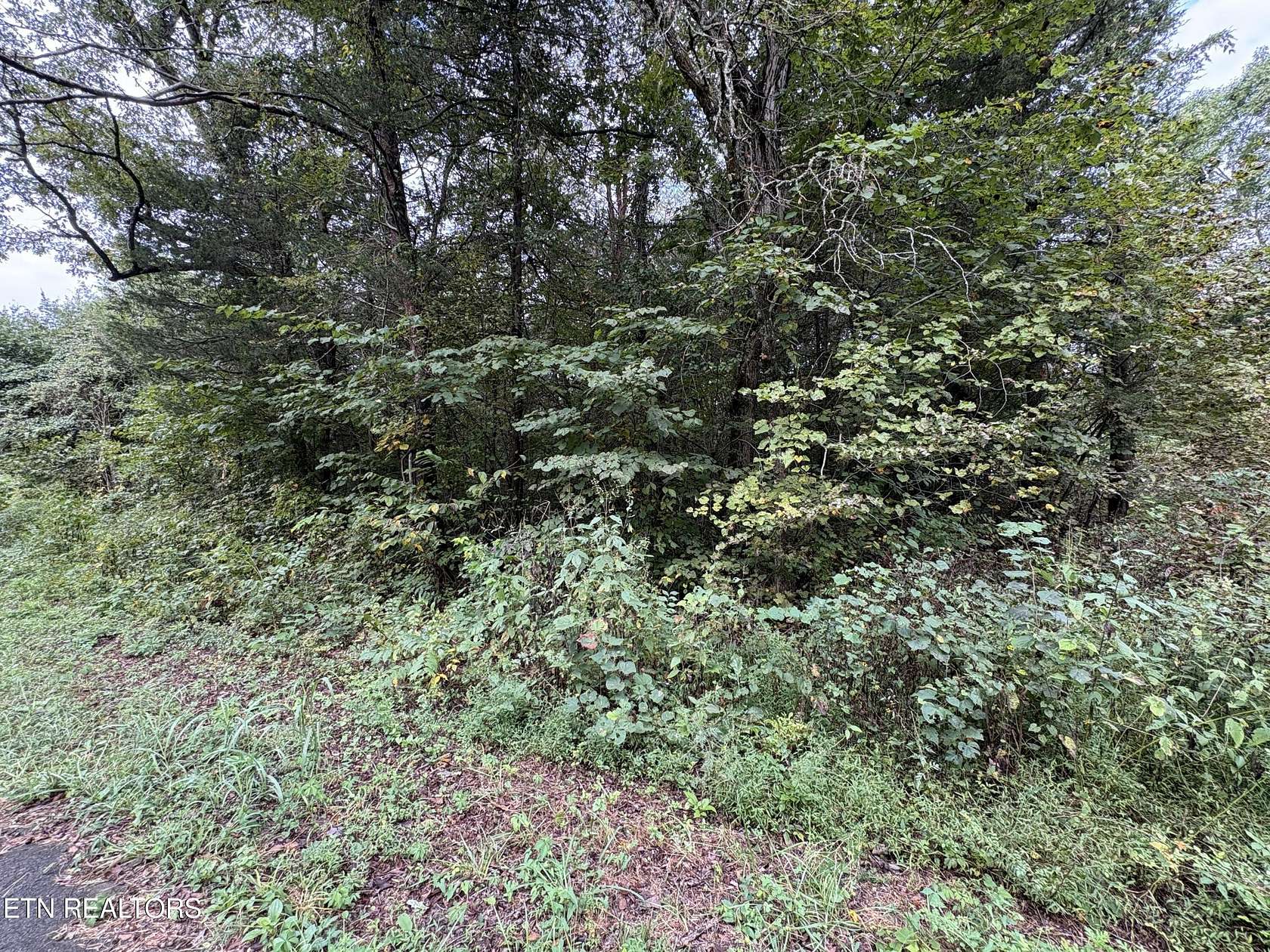 0.78 Acres of Land for Sale in Greeneville, Tennessee