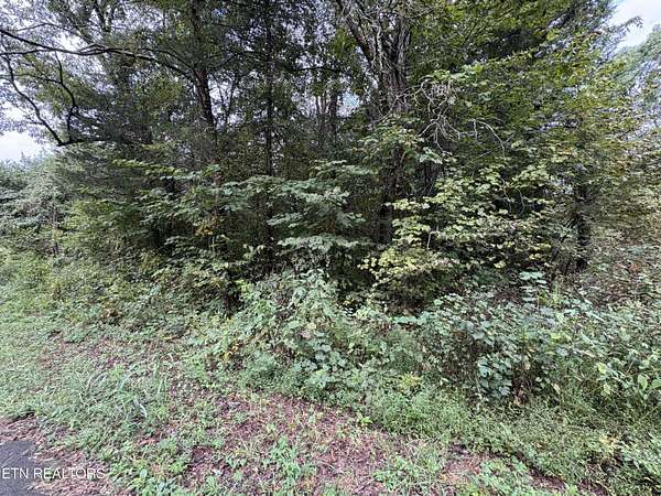 0.78 Acres of Land for Sale in Greeneville, Tennessee
