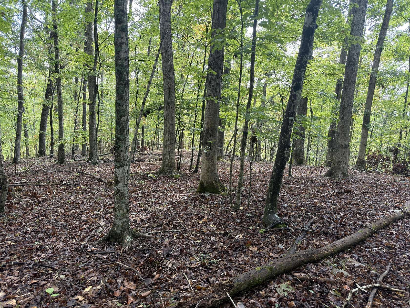 0.33 Acres of Land for Sale in Nancy, Kentucky