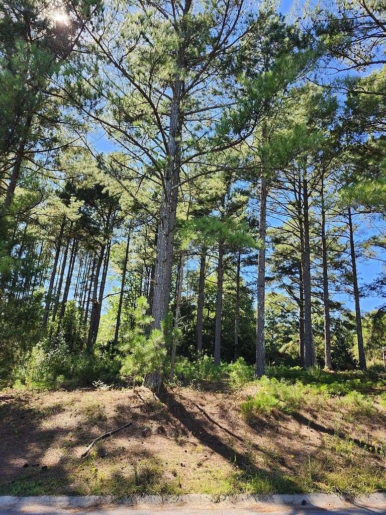 1 Acre of Residential Land for Sale in Greenwood, South Carolina