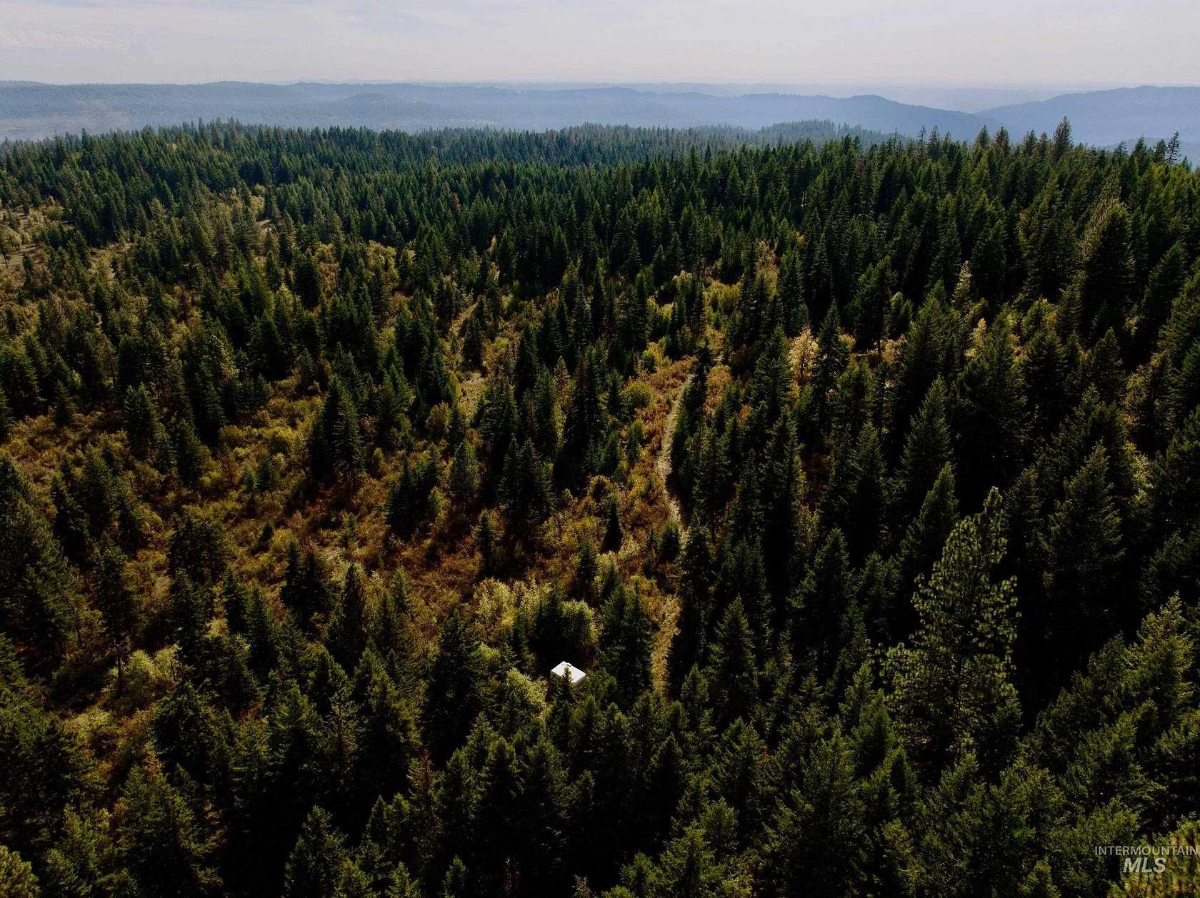 40 Acres of Recreational & Residential Land for Sale in Orofino, Idaho