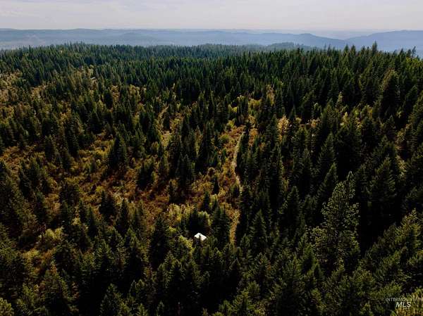 40 Acres of Recreational & Residential Land for Sale in Orofino, Idaho