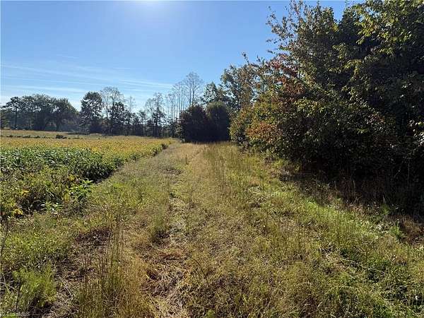 10.8 Acres of Land for Sale in Ararat, North Carolina