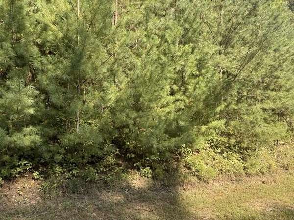 3.47 Acres of Land for Sale in Blairsville, Georgia