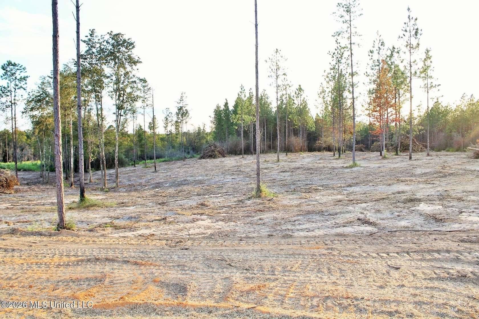 8.83 Acres of Residential Land for Sale in Lucedale, Mississippi