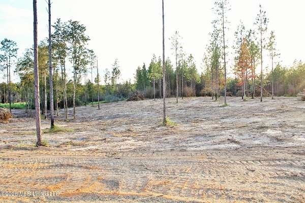 8.83 Acres of Residential Land for Sale in Lucedale, Mississippi