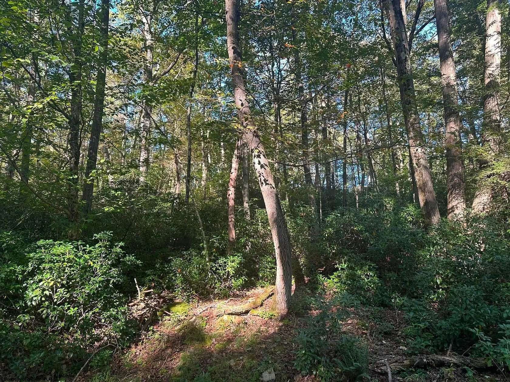 0.35 Acres of Residential Land for Sale in Terra Alta, West Virginia
