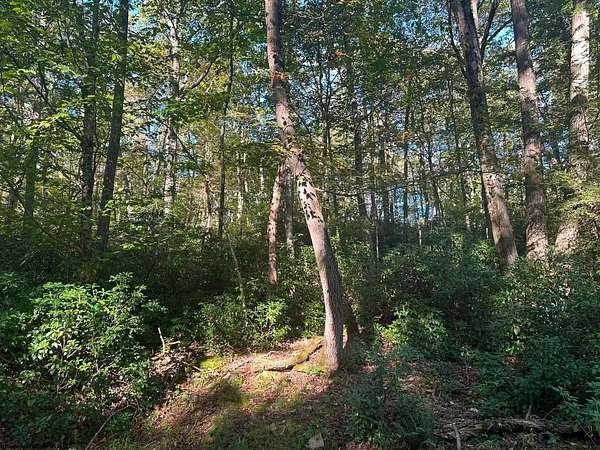 0.35 Acres of Residential Land for Sale in Terra Alta, West Virginia