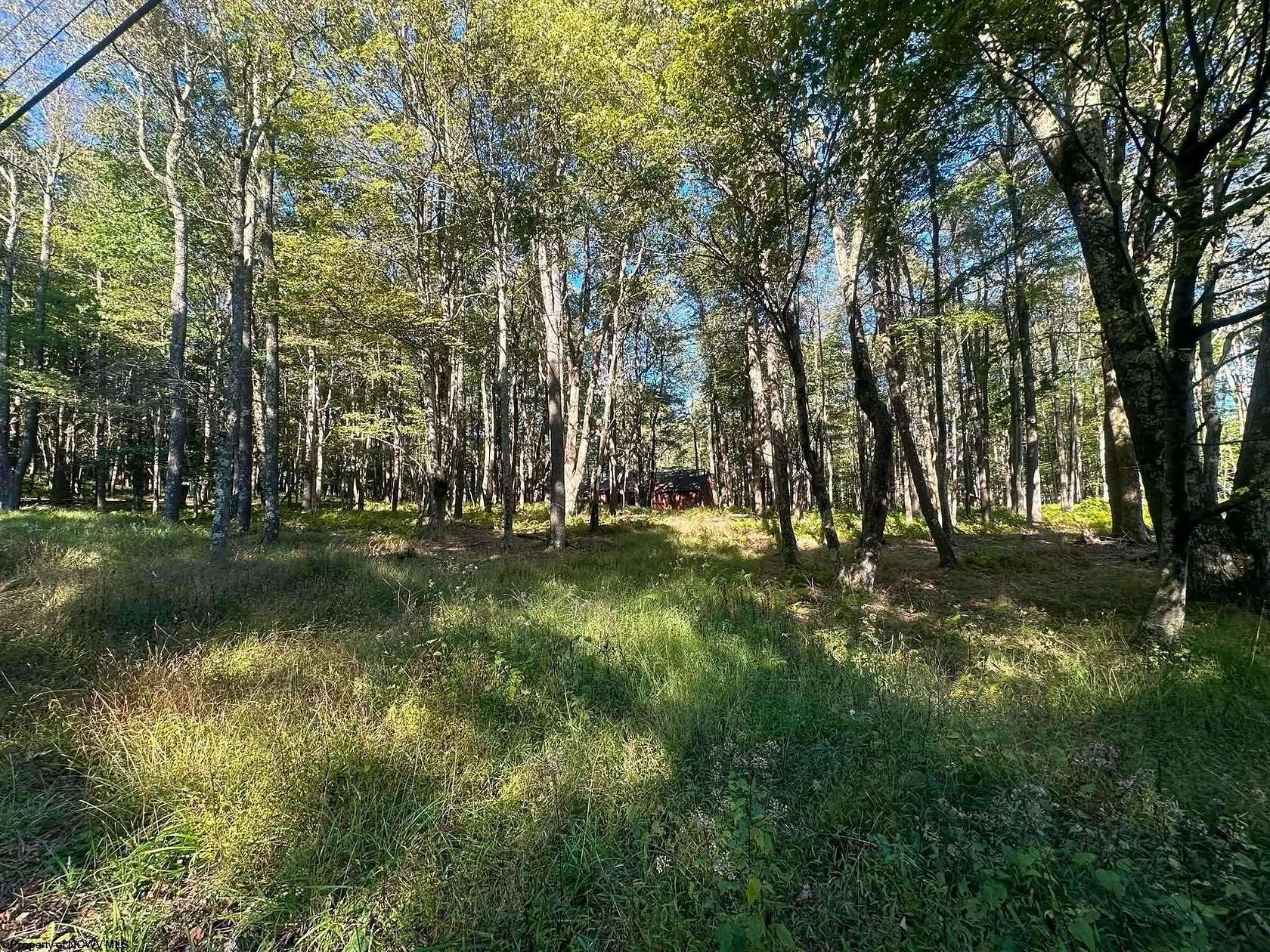 0.34 Acres of Residential Land for Sale in Terra Alta, West Virginia