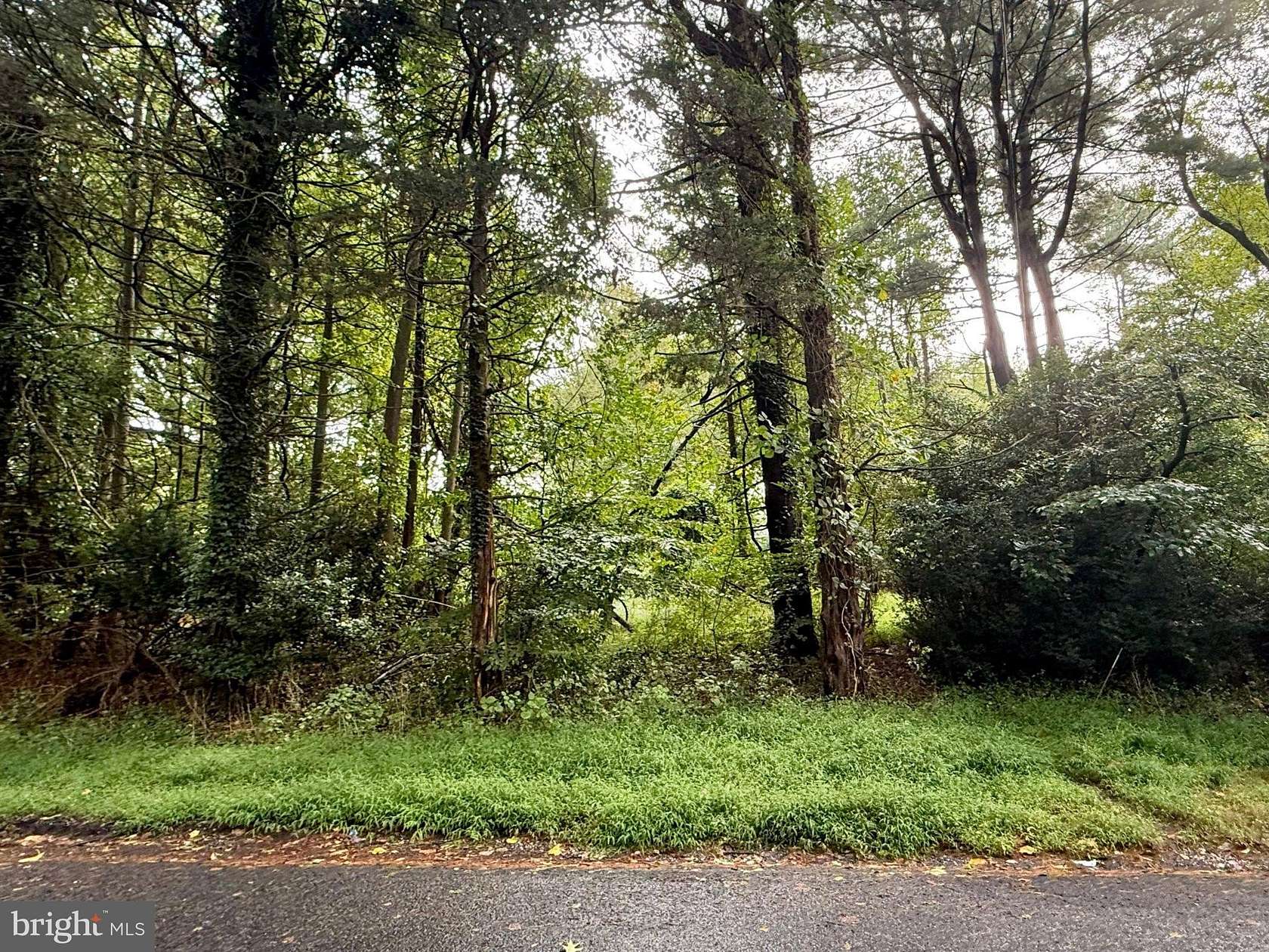 1 Acre of Residential Land for Sale in Elkton, Maryland