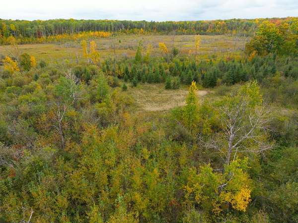 62.5 Acres of Recreational & Residential Land for Sale in Onamia, Minnesota