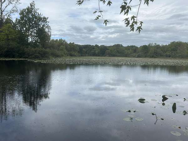 43 Acres of Recreational & Residential Land for Sale in Kalamazoo, Michigan