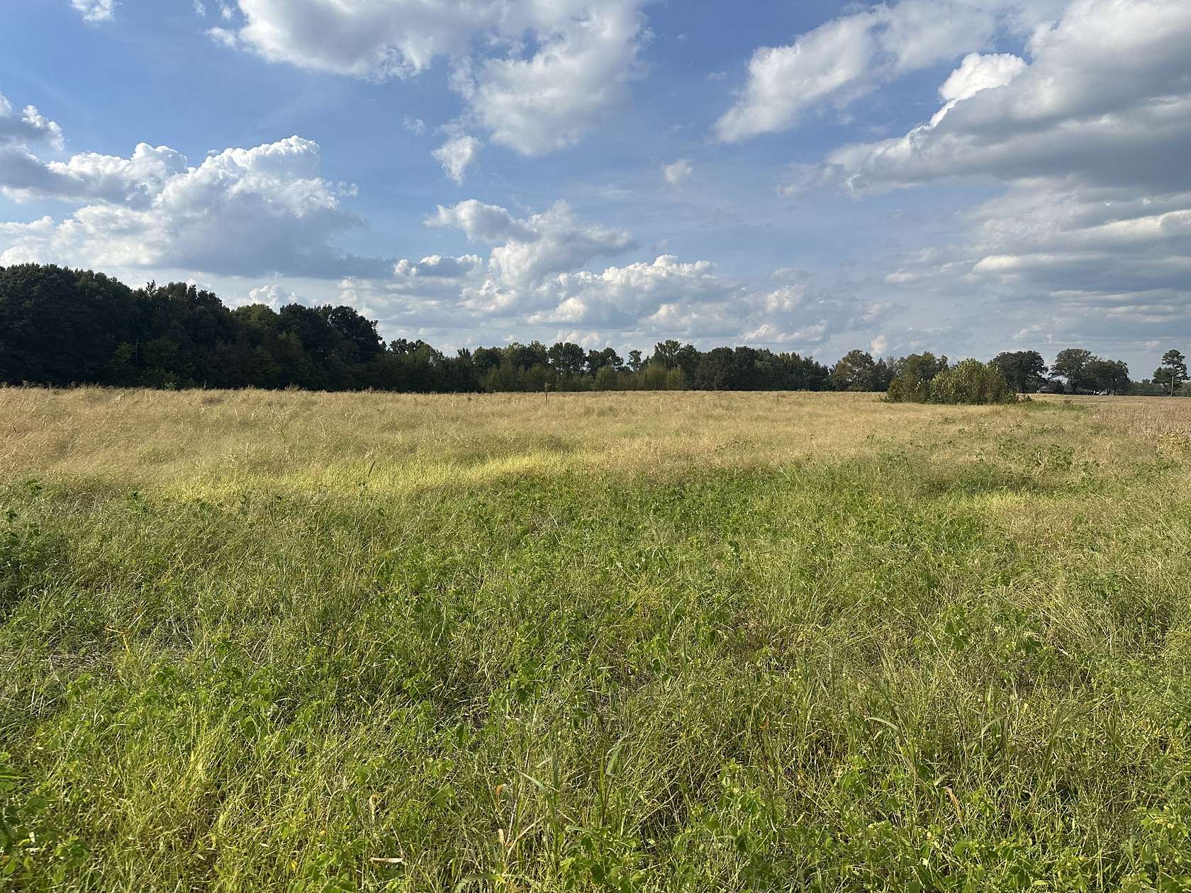 7.85 Acres of Residential Land for Sale in Flintville, Tennessee