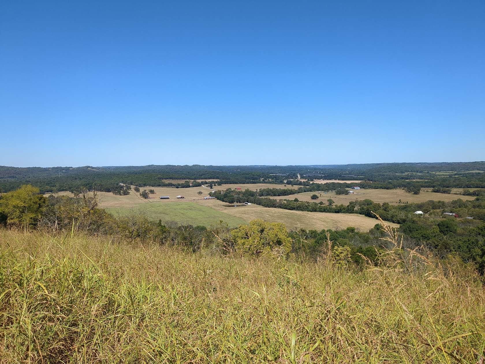 76.7 Acres of Land for Sale in Mulberry, Tennessee
