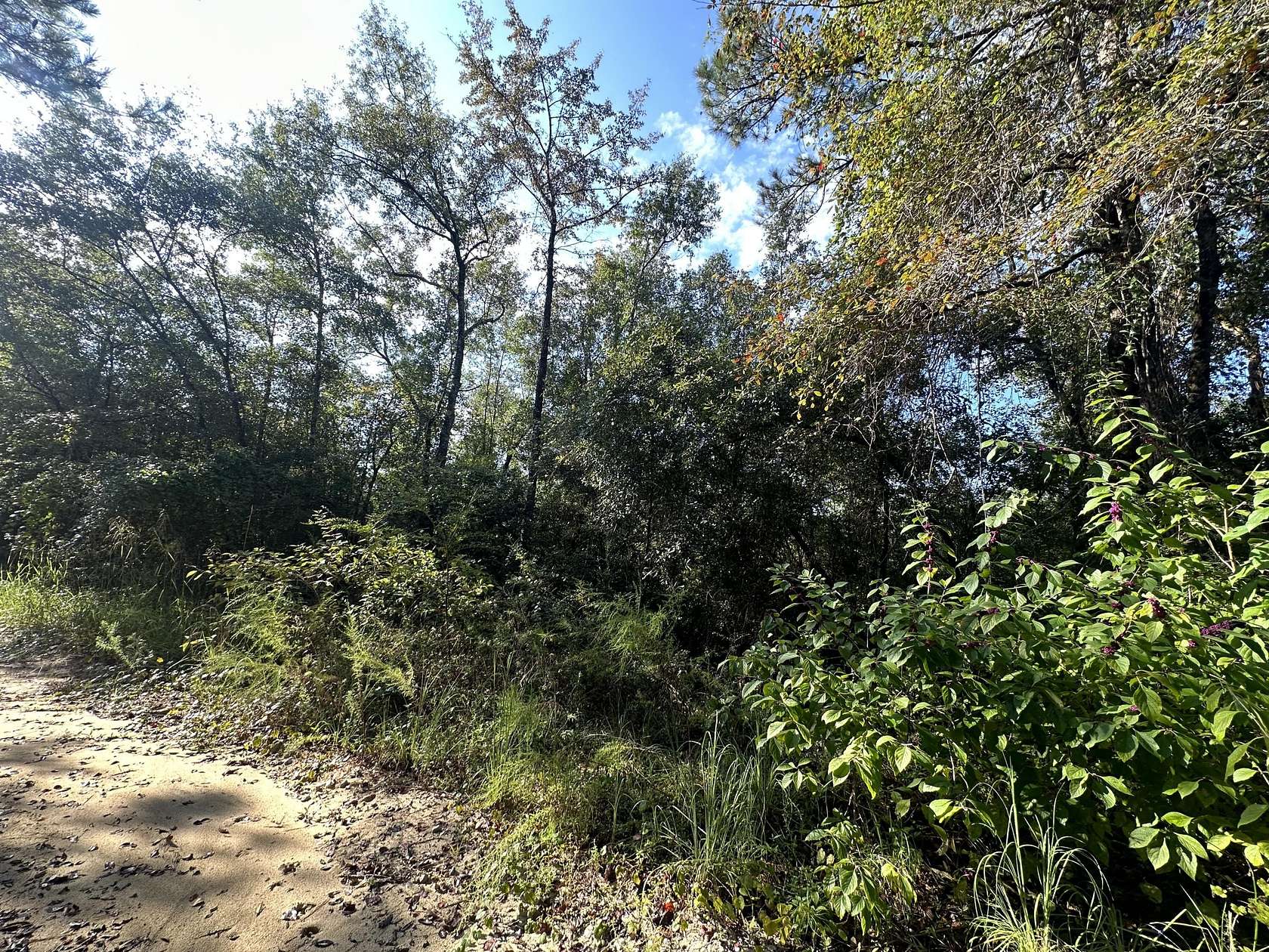 11.4 Acres of Recreational Land for Sale in Baker, Florida