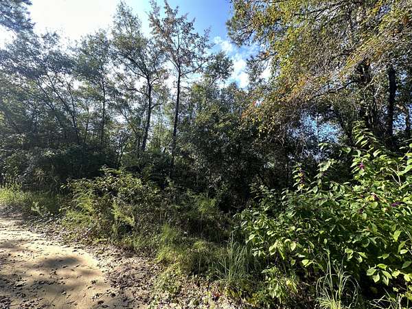11.4 Acres of Recreational Land for Sale in Baker, Florida