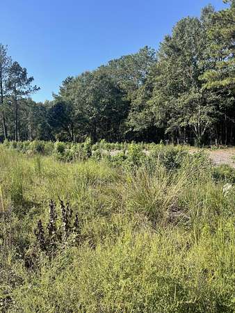 8 Acres of Land for Sale in Hattiesburg, Mississippi