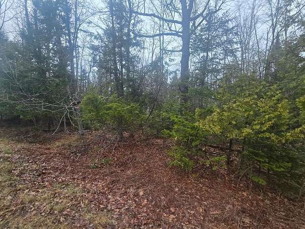 16.2 Acres of Land for Sale in China, Maine