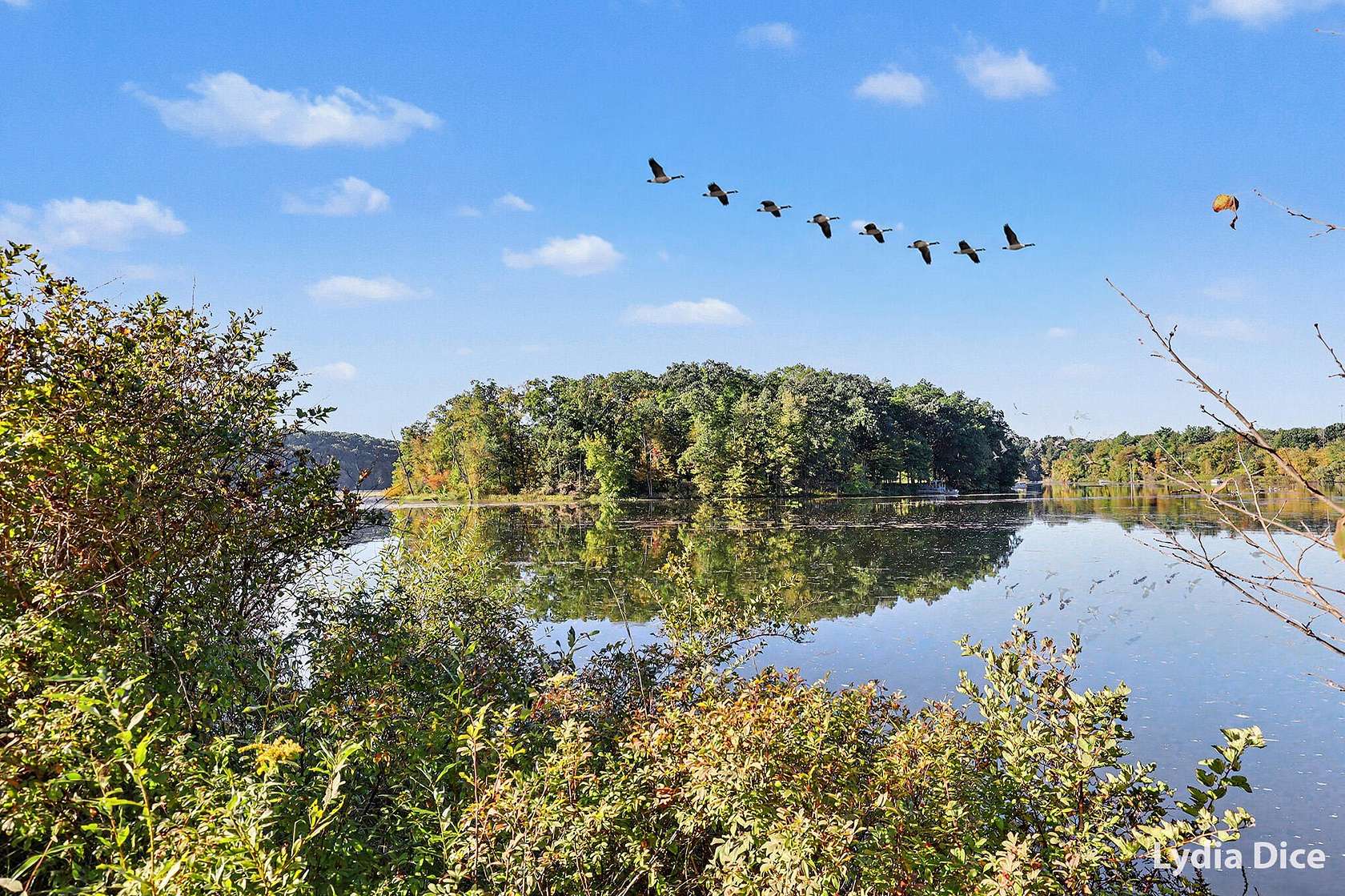 7 Acres of Residential Land for Sale in Lowell, Michigan