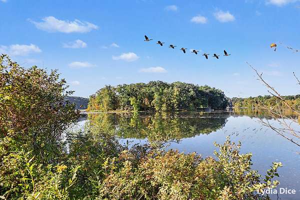 7 Acres of Residential Land for Sale in Lowell, Michigan