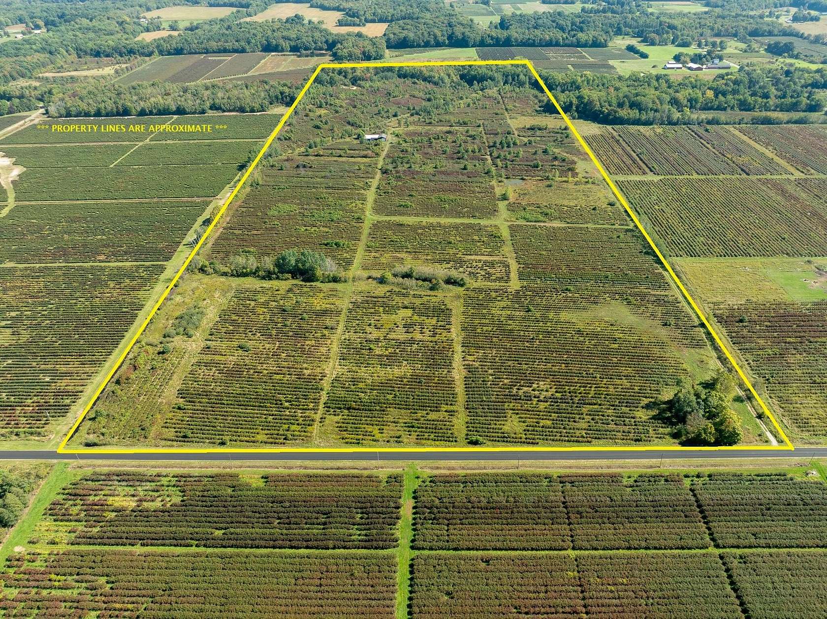 93.8 Acres of Agricultural Land for Sale in Covert, Michigan
