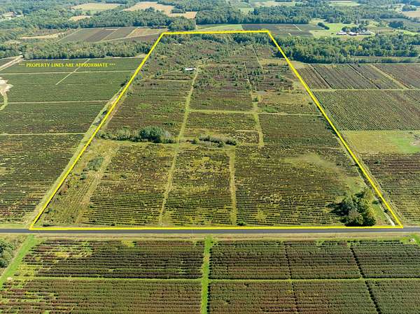 93.8 Acres of Agricultural Land for Sale in Covert, Michigan