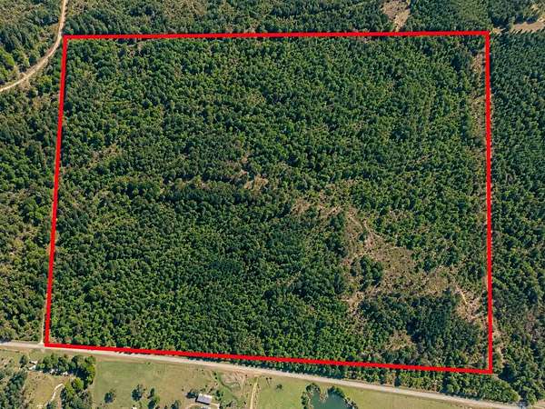 43.8 Acres of Recreational & Residential Land for Sale in Star City, Arkansas