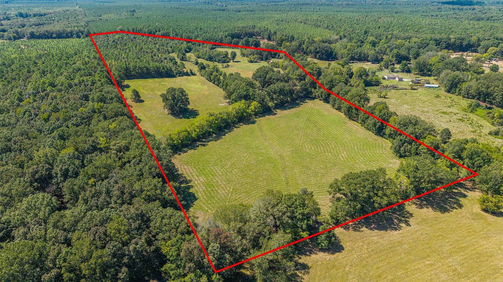 53 Acres of Recreational & Residential Land for Sale in Gurdon, Arkansas