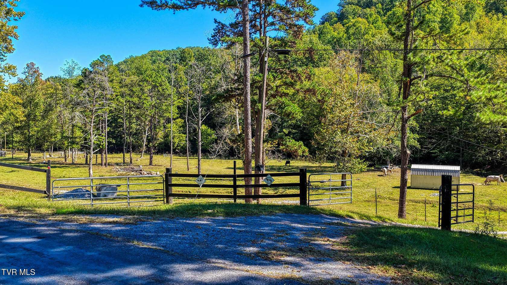 65.4 Acres of Land for Sale in Rogersville, Tennessee