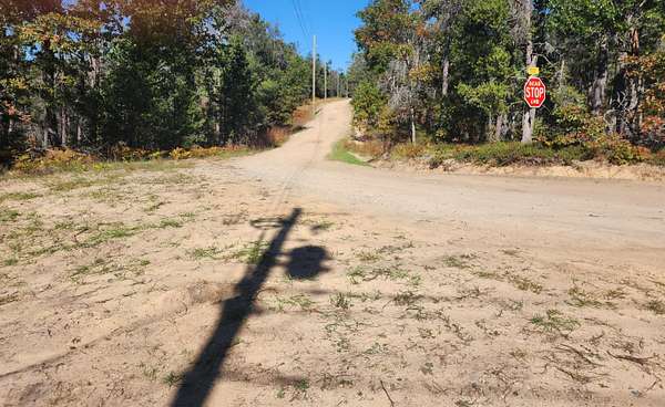 20 Acres of Recreational Land for Sale in Grayling, Michigan