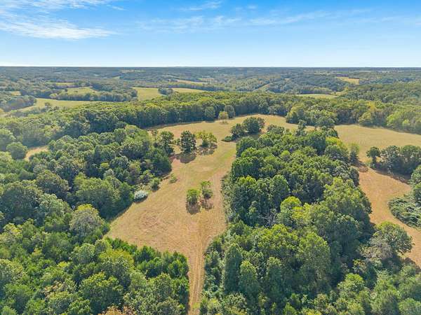 55.4 Acres of Recreational & Residential Land for Sale in Rogersville, Missouri
