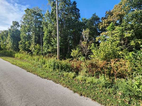 0.34 Acres of Residential Land for Sale in Bella Vista, Arkansas
