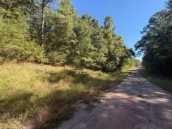 36.9 Acres of Recreational Land for Sale in Rocky Springs Township, North Carolina