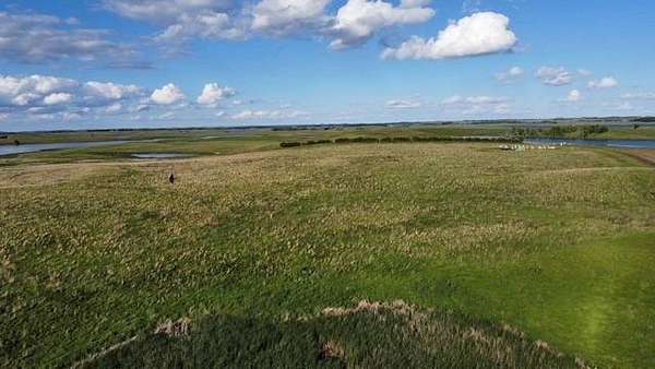 160 Acres of Land for Sale in Roslyn, South Dakota