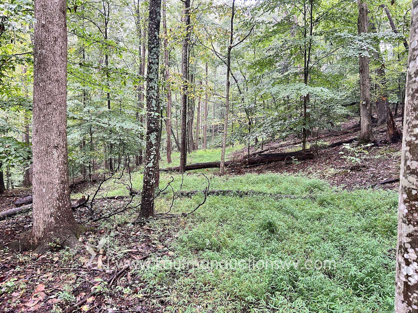 36.2 Acres of Recreational & Residential Land for Auction in St. Albans, West Virginia