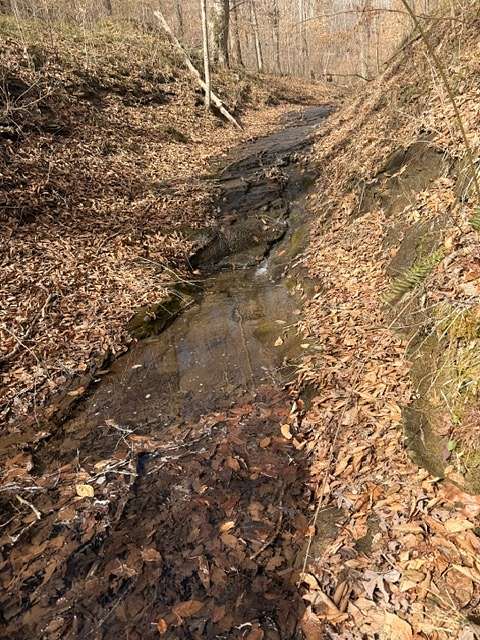 5.2 Acres of Improved Land for Sale in Ashland City, Tennessee